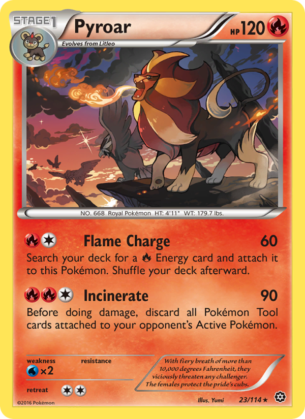 xy11-23